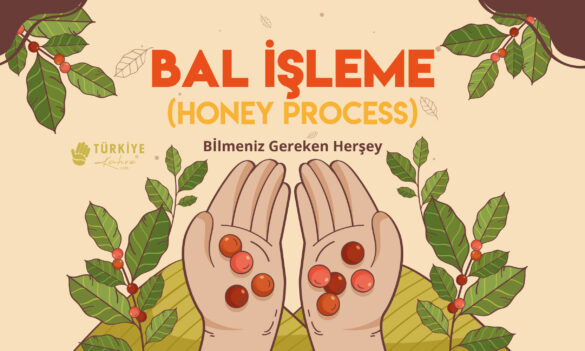 honey-process-turkiyekahve