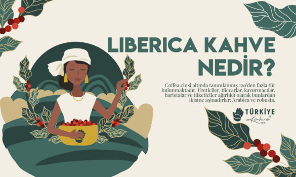 liberica-turkiyekahve-01