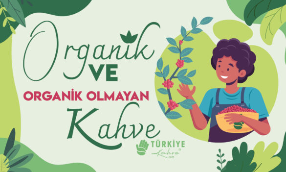 organik-kahve-site-01